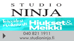 Studio Ninja logo